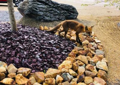 Plum Slate and Gold Nuggets/Gabion Stone 100 - 200mm