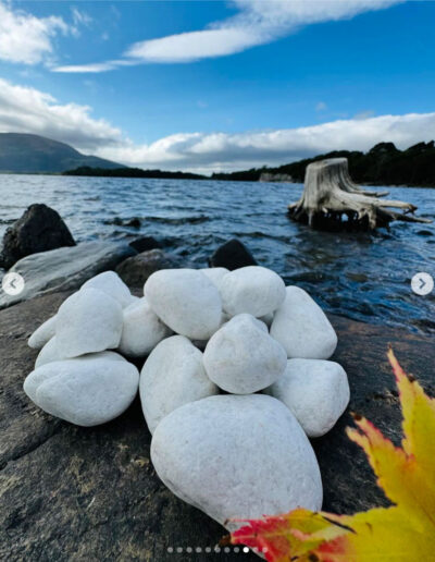 Alpine Autumn Range